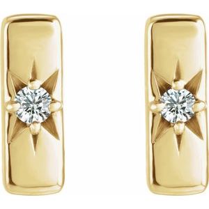 Accented Bar Earrings