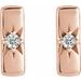 Accented Bar Earrings