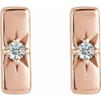 Accented Bar Earrings