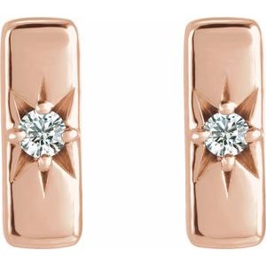 Accented Bar Earrings