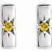 Accented Bar Earrings