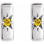 Accented Bar Earrings