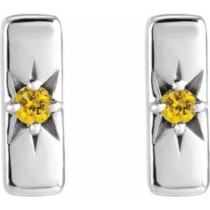 Accented Bar Earrings