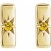 Accented Bar Earrings