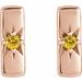 Accented Bar Earrings