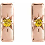 Accented Bar Earrings