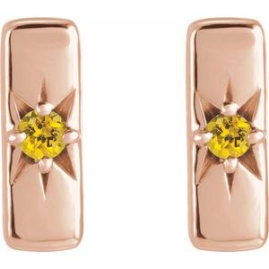 Accented Bar Earrings
