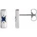 Accented Bar Earrings