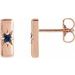 Accented Bar Earrings