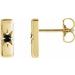 Accented Bar Earrings