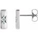 Accented Bar Earrings