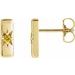 Accented Bar Earrings