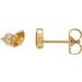Accented Bezel-Set Earrings