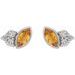 Accented Bezel-Set Earrings
