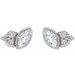 Accented Bezel-Set Earrings