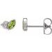 Accented Bezel-Set Earrings