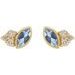 Accented Bezel-Set Earrings