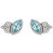 Accented Bezel-Set Earrings