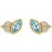 Accented Bezel-Set Earrings