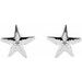 Starfish Earrings