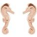 Seahorse Earrings