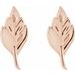 Leaf Earrings