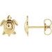 Turtle Earrings
