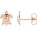 Turtle Earrings