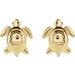 Turtle Earrings