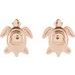 Turtle Earrings