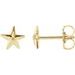 Starfish Earrings