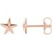 Starfish Earrings