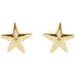 Starfish Earrings