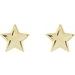 Star Earrings
