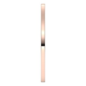 Flat Band