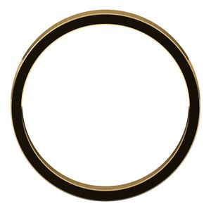 Flat Band
