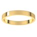 Flat Band