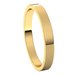 Flat Band