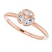 Cluster Ring
