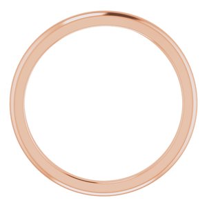 Accented Engagement Ring or Band