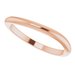 Accented Engagement Ring or Band
