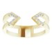 Geometric Ring