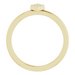 Geometric Ring