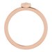 Geometric Ring