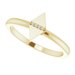 Geometric Ring
