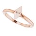 Geometric Ring