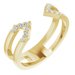 Geometric Ring
