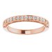 Halo-Style Sculptural Engagement Ring or Band