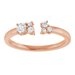 Accented Negative Space Ring