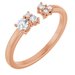 Accented Negative Space Ring